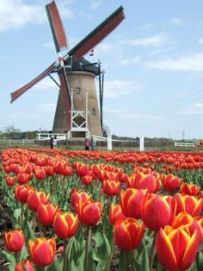 Dutch windmill