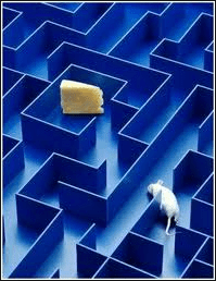 Mouse maze-2