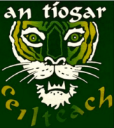 Celtic Tiger-2