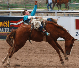 Rodeo-1