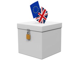 ReferendumVote