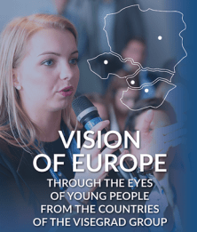 EU vision-1