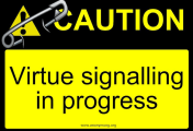 Virtue Signalling