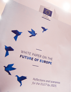 EU White paper