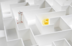 Mouse maze-1