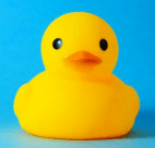 Canard