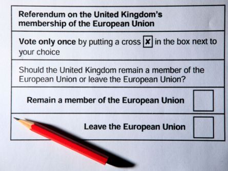 2016_EU_Referendum_Ballot_Paper