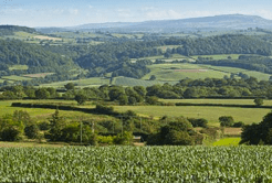 shropshire-farm